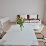 Rent 1 bedroom apartment of 42 m² in Prague