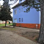 Rent 3 bedroom apartment of 80 m² in Prague