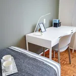 Rent a room in trento