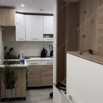 Rent 1 bedroom apartment of 45 m² in Budapest