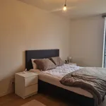  appartement avec 3 chambre(s) en location à Zedelgem