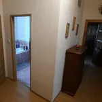 Rent 3 bedroom apartment in Libákovice