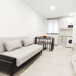 Rent 1 bedroom apartment in madrid