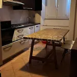 Rent 1 bedroom apartment of 55 m² in Roma