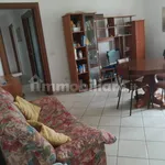 Rent 4 bedroom apartment of 100 m² in Chieti