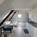 Appartement de 27 m² avec 1 chambre(s) en location à Lille