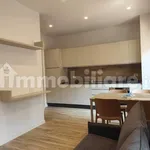 Rent 2 bedroom apartment of 50 m² in Cuneo