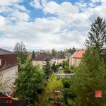 Rent 3 bedroom apartment in Liberec