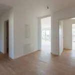 Rent 4 bedroom apartment of 117 m² in Leipzig