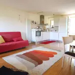 Rent 4 bedroom apartment of 80 m² in Lucca