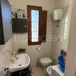 Rent 1 bedroom apartment of 50 m² in Pisa