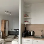 Rent 1 bedroom apartment of 38 m² in Hamburg