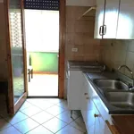 Rent 3 bedroom apartment of 90 m² in Roma