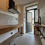 Rent 1 bedroom apartment of 20 m² in Torino