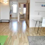 Rent 3 bedroom apartment of 67 m² in Łódź