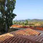 Rent 2 bedroom apartment of 50 m² in Olbia