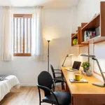 Alquilo 4 dormitorio apartamento de 19 m² en Seville