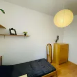 Rent a room in poznan