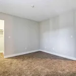 Rent 1 bedroom apartment in Paradise