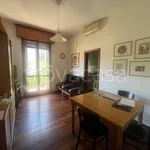 Rent 4 bedroom apartment of 100 m² in Bologna