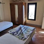 Rent 2 bedroom apartment of 50 m² in Siena