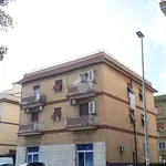 Rent 1 bedroom apartment of 40 m² in Roma