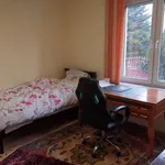 Rent a room in Poznan