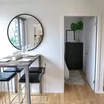 Rent 1 bedroom apartment in Manhattan