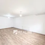 Rent 1 bedroom apartment in Ostrava