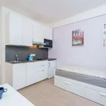 Studio o rozloze 23 m² v prague