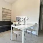 Rent 2 bedroom apartment of 40 m² in Roma