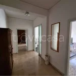 Rent 4 bedroom apartment of 110 m² in Mantova