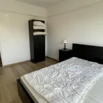 Appartement de 71 m² avec 2 chambre(s) en location à Lambersart