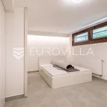 Rent 2 bedroom apartment of 116 m² in Zagreb