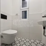 Rent 1 bedroom apartment in Brno