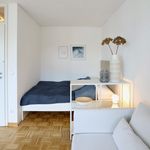 Rent 1 bedroom apartment of 30 m² in Düsseldorf