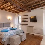 Rent 1 bedroom apartment in rome