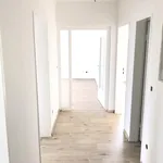 Rent 3 bedroom apartment of 72 m² in Duisburg