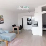 Rent 2 bedroom apartment of 55 m² in Plzeň