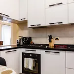 Rent 3 bedroom apartment in Bologna