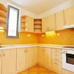 Rent 3 bedroom apartment of 95 m² in Brno