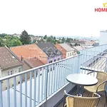 Pronajměte si 1 ložnic/e byt o rozloze 45 m² v Brno