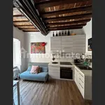 Rent 1 bedroom apartment of 30 m² in Siena