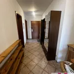 Rent 2 bedroom apartment of 64 m² in Nuremberg