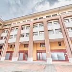 Rent 1 bedroom apartment in Bologna