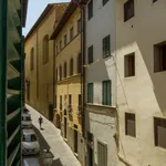 Rent 1 bedroom apartment of 50 m² in Florence