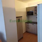 Rent 4 bedroom apartment of 63 m² in Praha 11