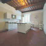 Rent 5 bedroom apartment of 160 m² in Borgo a Mozzano