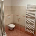 Rent 1 bedroom apartment in Olomouc