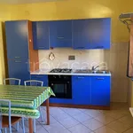 Rent 2 bedroom apartment of 45 m² in Bobbio Pellice